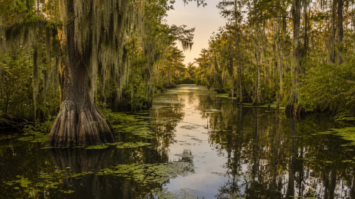 bayou meaning photo