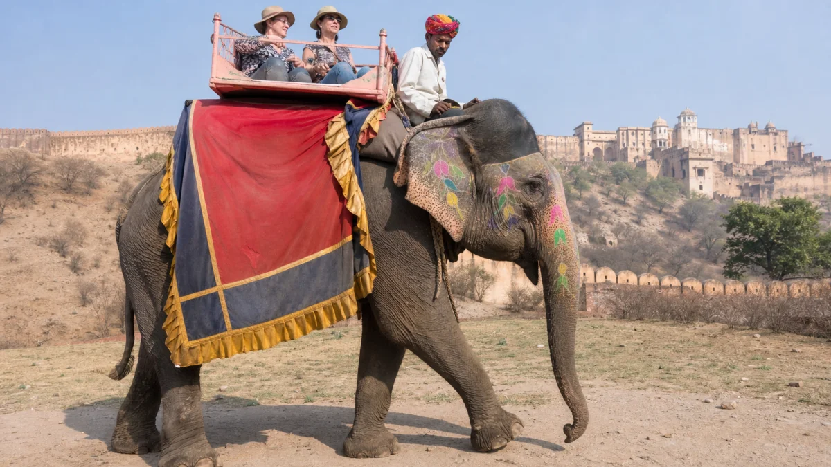 Howdah Meaning, Definition, and Synonyms
