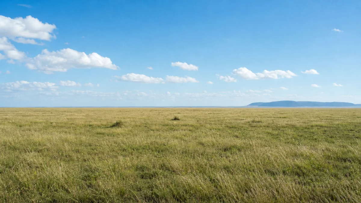 llano meaning photo