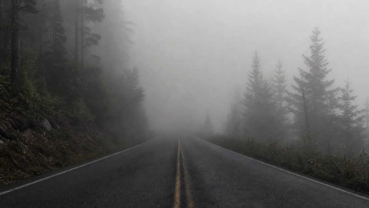 Murk meaning, definition, and synonyms