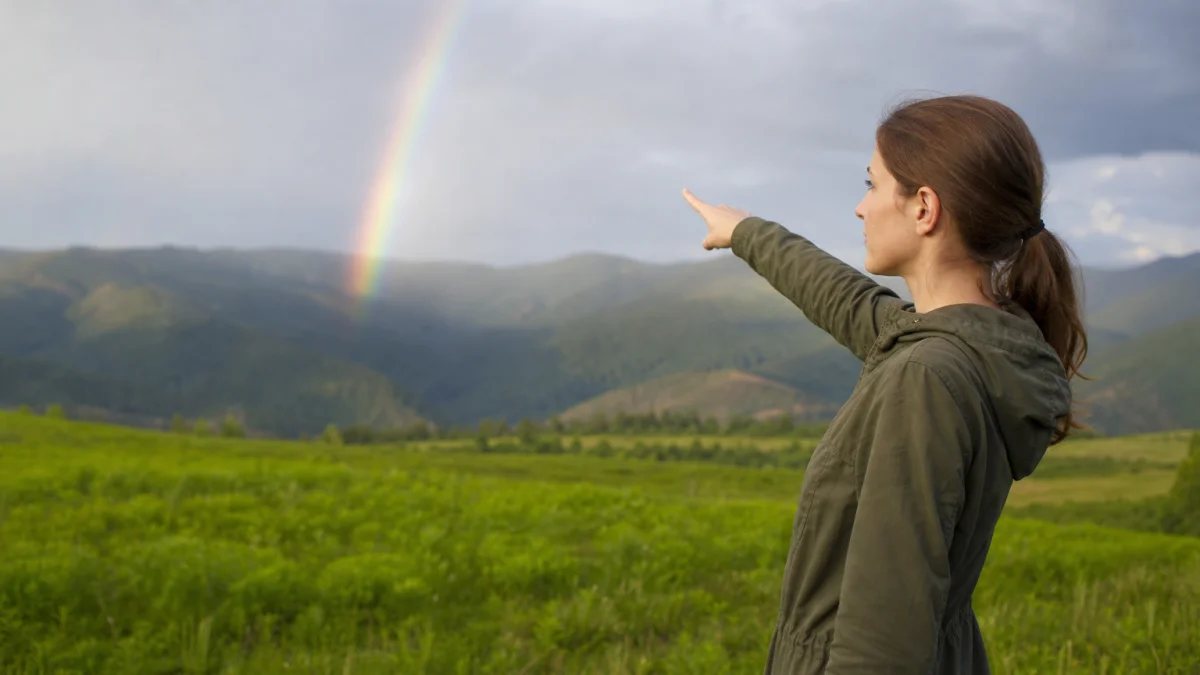 Perceptible Meaning, Definition, and Synonyms