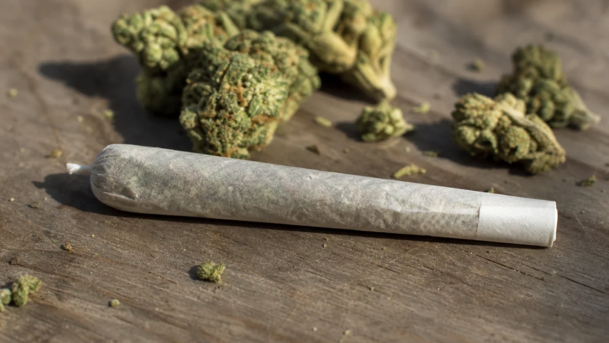 reefer meaning, definition, synonyms