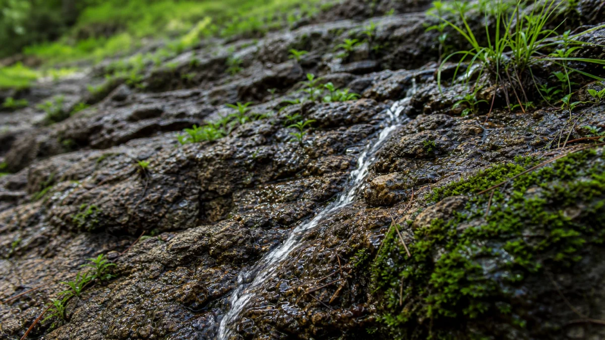 rivulet meaning photo