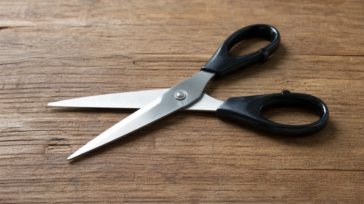 scissors meaning photo