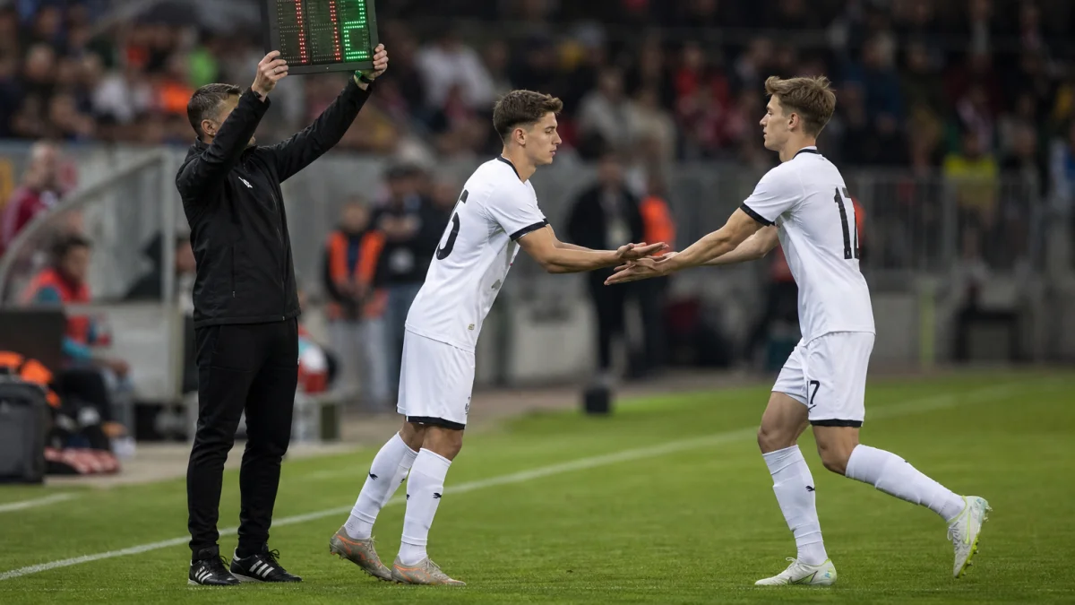 substitution meaning photo