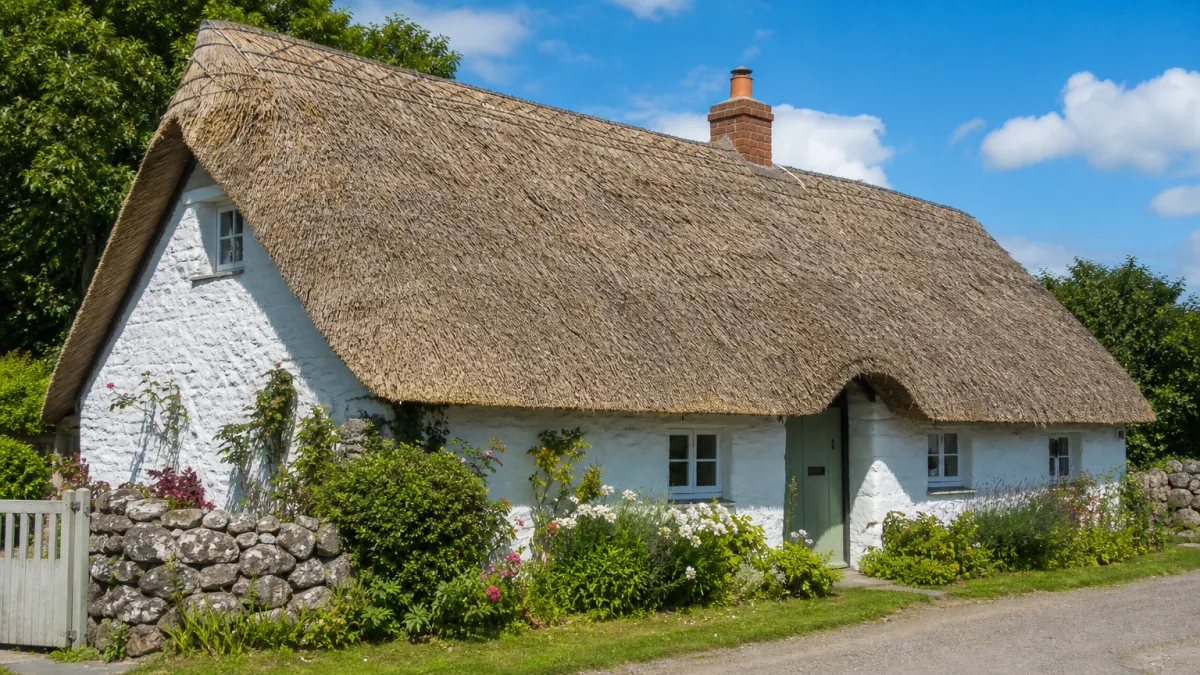 thatch meaning photo